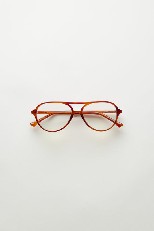 Maxy | Tort & Clear
